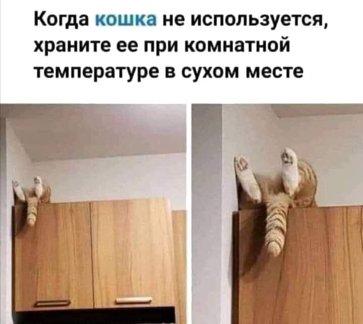 Когда кошка не используется, храните ее при комнатной температуре в сухом месте к.