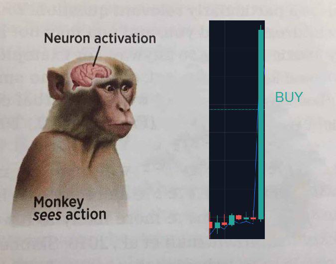 Neuron activation sees action