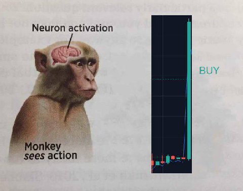 Neuron activation sees action