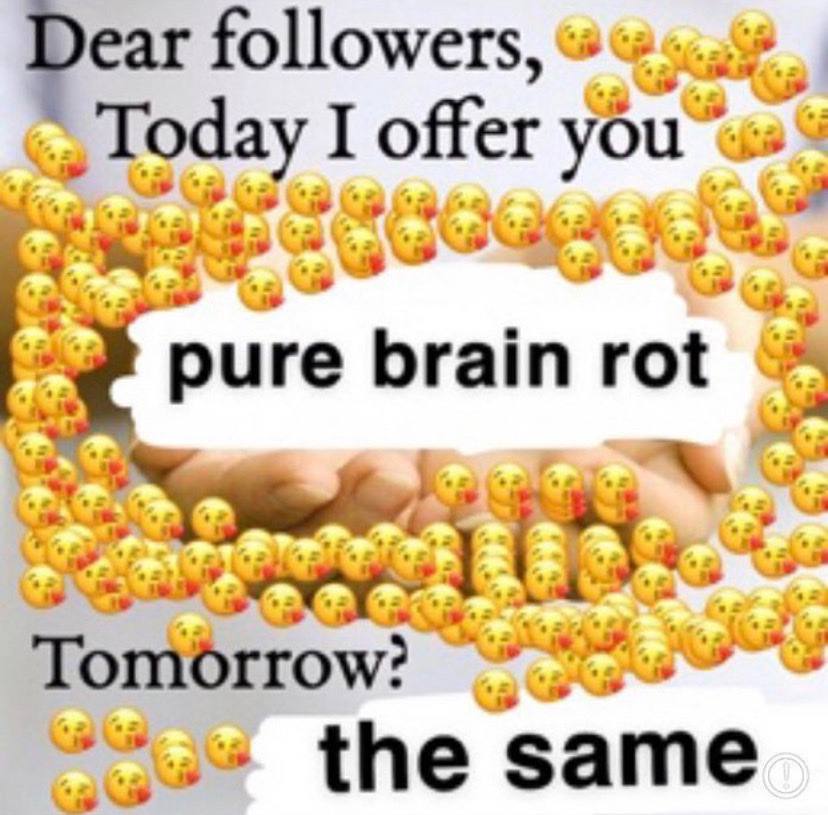 Dear followers, Today I offer yOu brain rot Tomorrow? the same