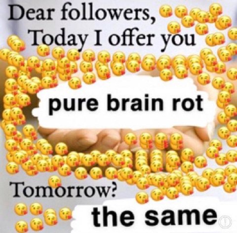 Dear followers, Today I offer yOu brain rot Tomorrow? the same