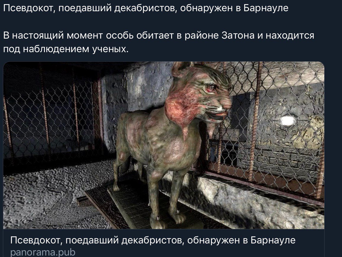 Псевдокот, поедавший декабристов, обнаружен в Барнауле В настоящий момент особь обитает в районе Затона и находится под наблюдением ученых. Псевдокот, поедавший декабристов, обнаружен в Барнауле
