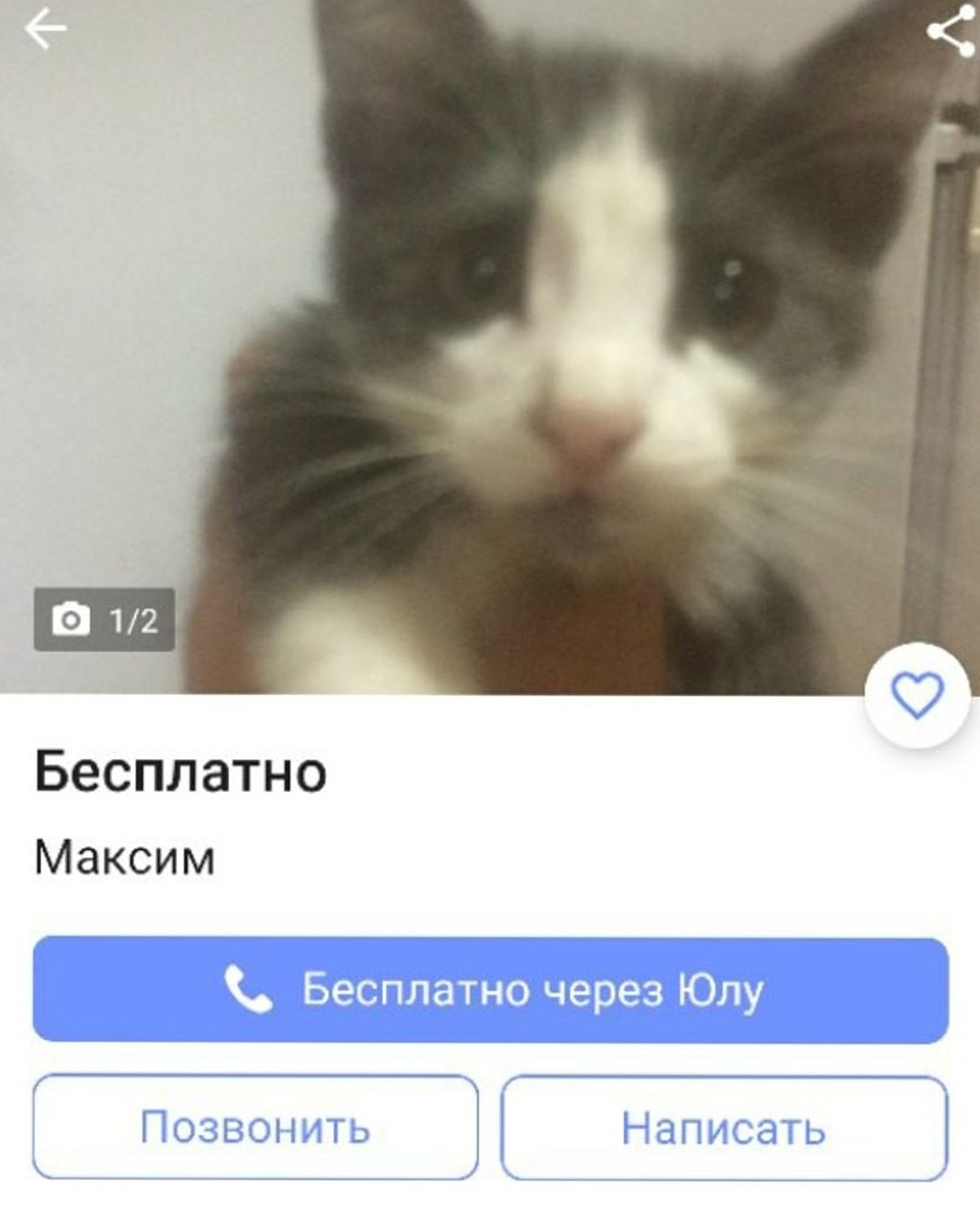 Бесплатно Максим Бесплатно через Юлу Позвонить Написать