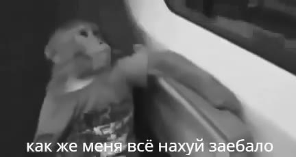 как же меня’всё нахуй заеб.