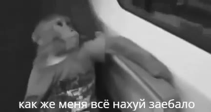 как же меня’всё нахуй заеб.