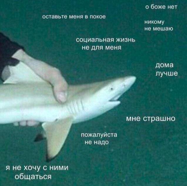 о боже нет оставьте меня в покое никому не мешаю социальная жизнь не для меня дома лучше мне страшно пожалуйста не надо я не хочу с ними общаться