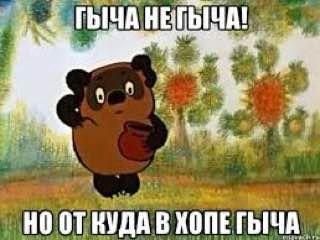 НО ОТКУДА В ХОПЕГЫ