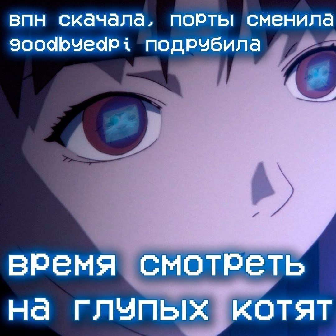 впн скачала. порты сменила 900dbyedPi подрчбила время смотреть на глупых котят