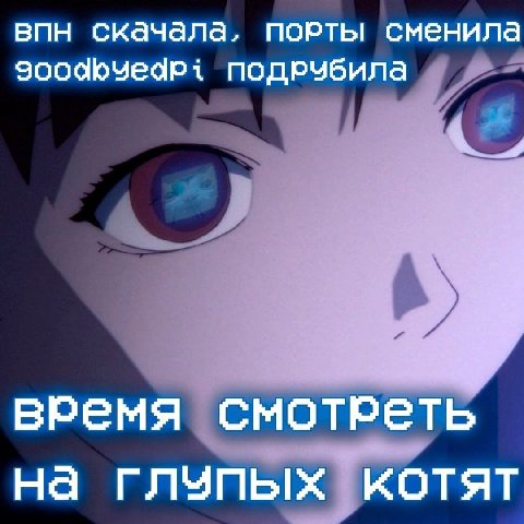 впн скачала. порты сменила 900dbyedPi подрчбила время смотреть на глупых котят