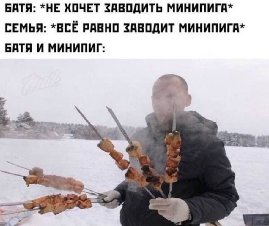 БАТЯ: *НЕ ХОЧЕТ ЗАВОДИТЬ МИНИПИГА* СЕМЬЯ: *BCE РАВНО ЗАВОДИТ МИНИПИГА* БАТЯ И МИНИПИГ: 2
