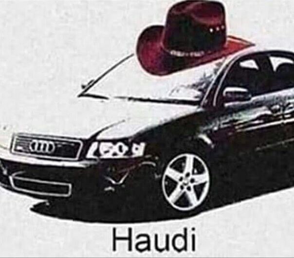 Haudi