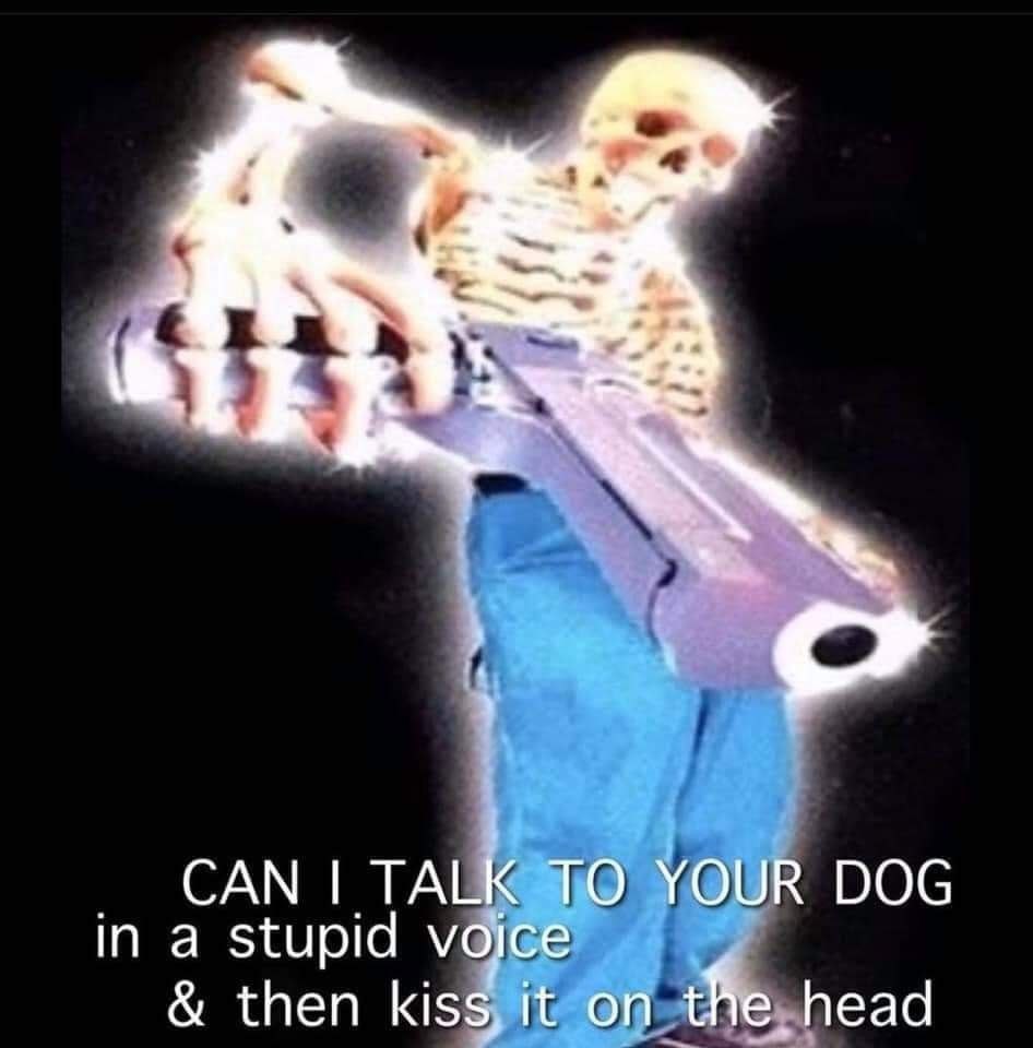 САМ TALK TO YOUR DOG in a stupid vojce then it on head
