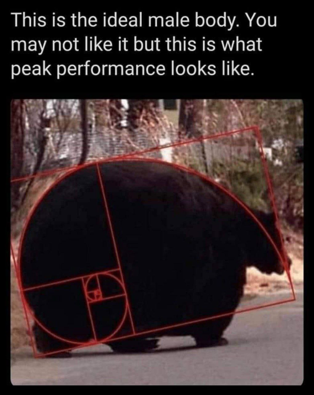 This is the ideal male body. You may not like it but this is what peak performance looks like.
