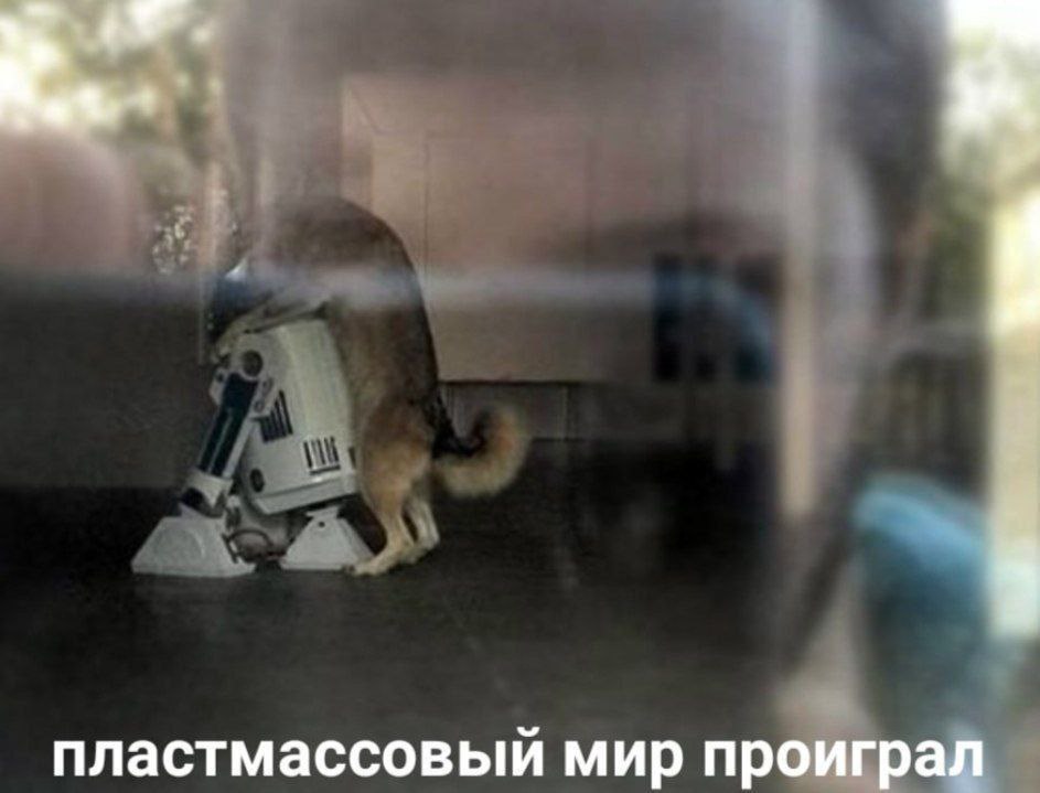 пластмассовый мир проиграл