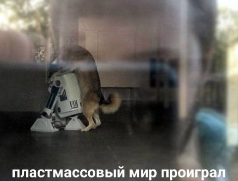 пластмассовый мир проиграл