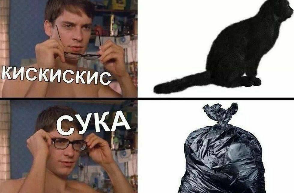 4 Кискискис..
