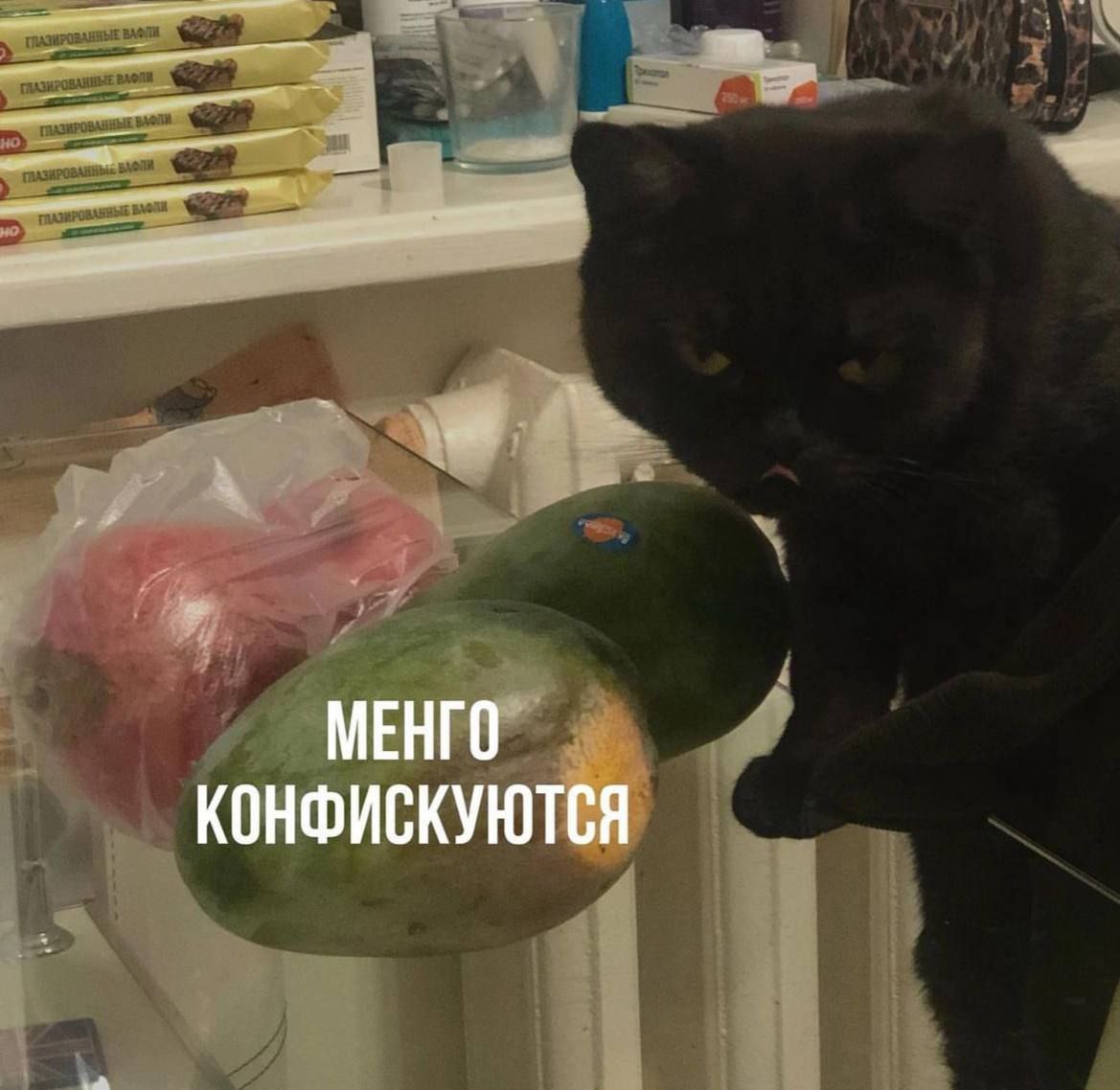 МЕНГО КОНФИСКУЮТСЯ