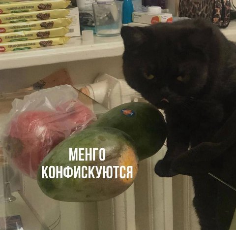 МЕНГО КОНФИСКУЮТСЯ