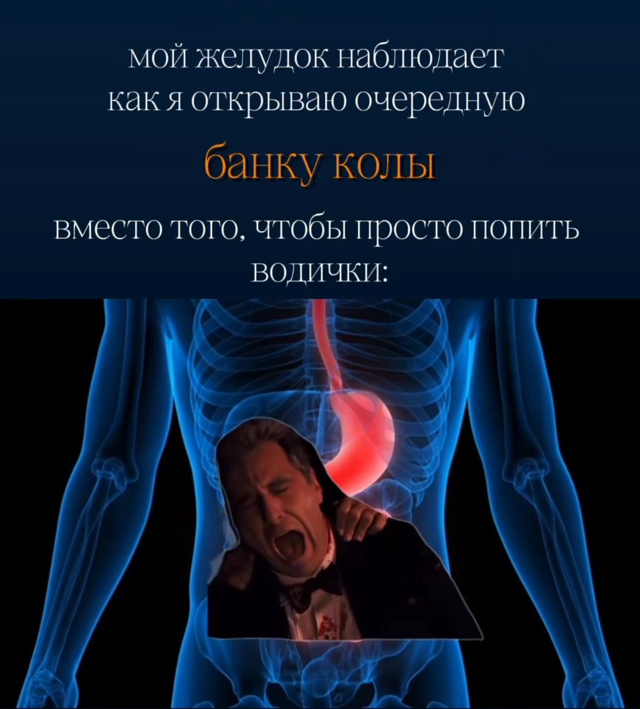 мой желулок наблюдает какя открываю очередную банку колы вместо того, чтобы просто попить ВОДИЧКИ: