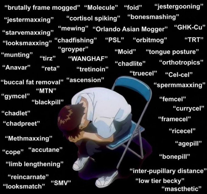 “brutally frame mogged” “Molecule” “foid” “cortisol “bonesmashing” “Orlando Asian Моддег" “GHK-Cu” “chadfishing” “PSL” “ТЕТ” “tooksmaxxing” “munting” “tongue “tirz” “WANGHAF’ “chadlite” “orthotropics”