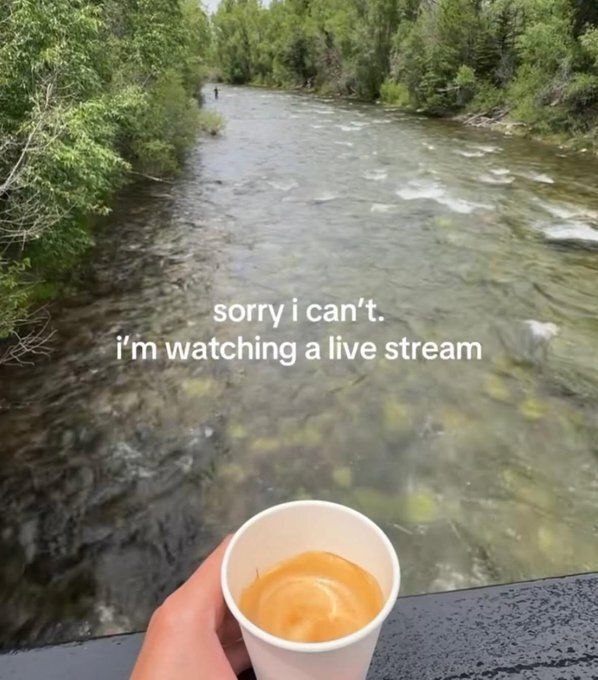 sorry ican't. watching a live stream