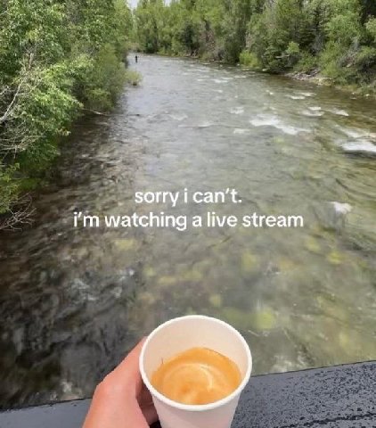 sorry ican't. watching a live stream