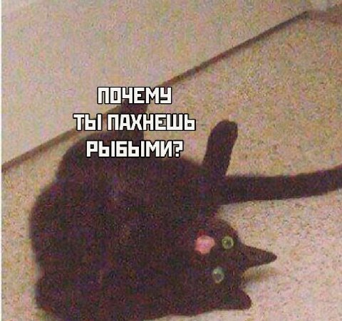 ПОЧЕМУ ТЫ ПАХНЕШЬ РЫБЫМИ?