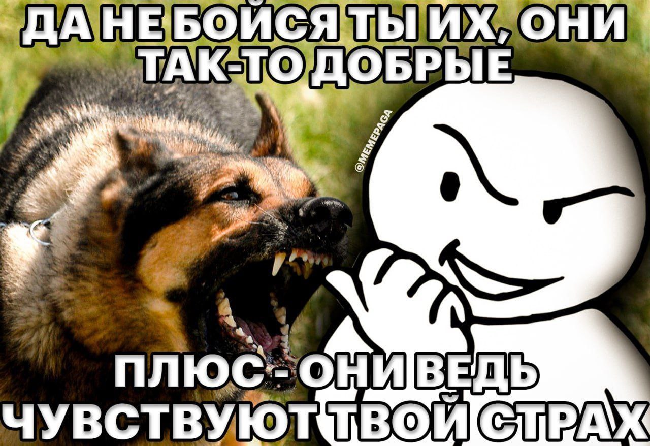 ДА НЕ 1 А 4. МВЕДЬ