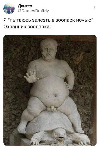 Дантес @DantesDmitriy Я *пытаюсь залезть в зоопарк ночью" Охранник зоопарка: