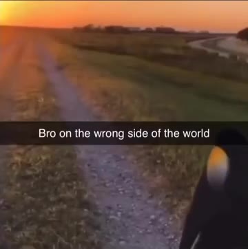 Bro оп the wrong side of the world