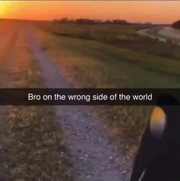 Bro оп the wrong side of the world