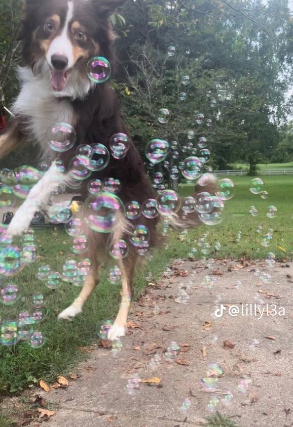 у we 4 у Я 2 у a mee, у у у i 4 7 у a ous у