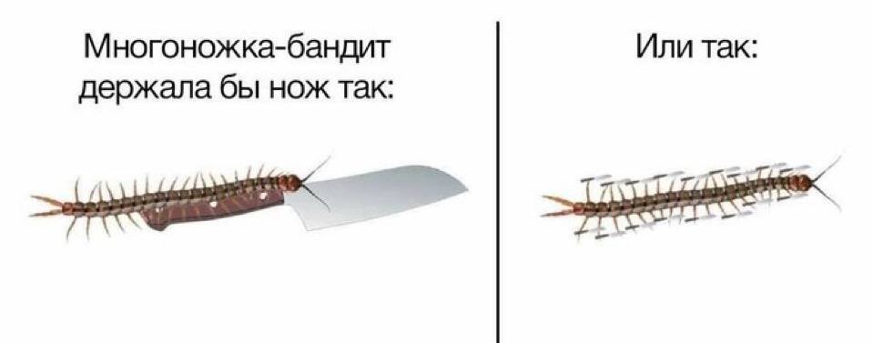 Многоножка-бандит Или так: держала бы нож так: