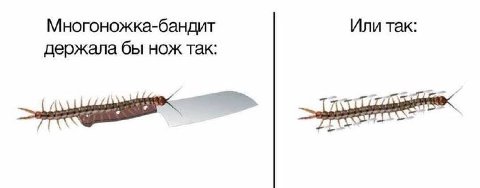 Многоножка-бандит Или так: держала бы нож так: