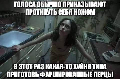 ГОЛОСА ОБЫЧНО ПРИКАЗЫВАЮТ ПРОТКНУТЬ СЕБЯ НОЖОМ В КАКАЯ-ТО ХУЙНЯ ТИПА ПРИГОТОВЬ ФАРШИРОВАННЫЕ ПЕРЦЫ