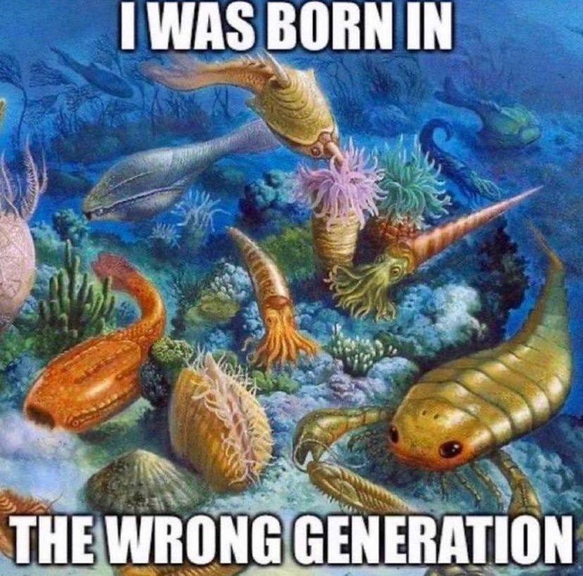 ПАЗ В ORN IN a THE WRONG GENERATION