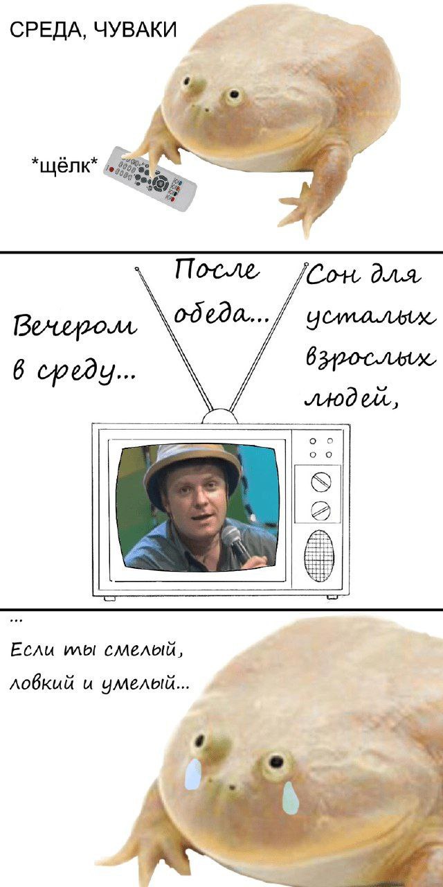 СРЕДА, ЧУВАКИ 4 После, COH 6 cpedy Если илы смелый, ловкий и чмелый.