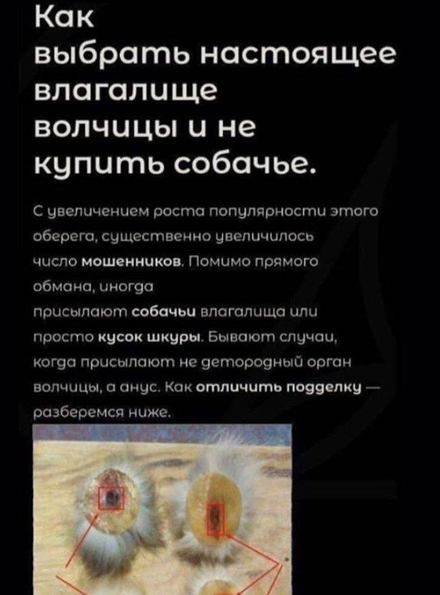 Как выбра настоящее влагалище волчицы и не купить собачье. С увеличенчем росгла популярности эгпого o6epera, существенно увеличилось число мошенников. Помимо прямого обмана, присылаюгт собачьи влагали