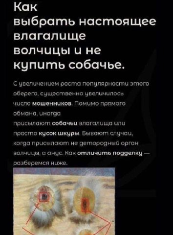 Как выбра настоящее влагалище волчицы и не купить собачье. С увеличенчем росгла популярности эгпого o6epera, существенно увеличилось число мошенников. Помимо прямого обмана, присылаюгт собачьи влагали