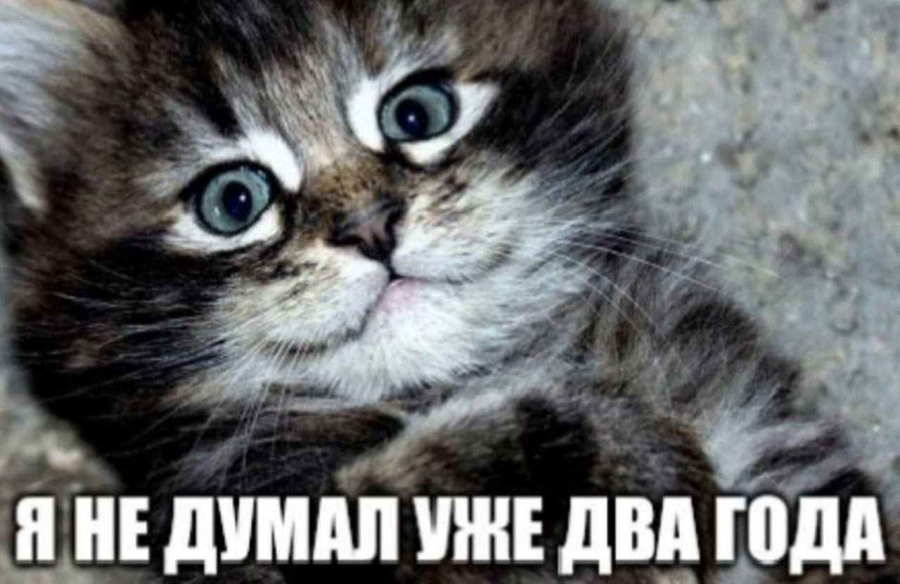Я НЕ ДУМАЛ УЖЕ ДВА ГОДА