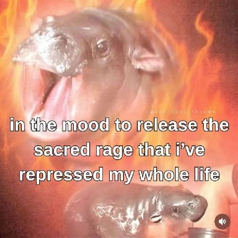 до release the sacred rage that i’ve repressed my whole life