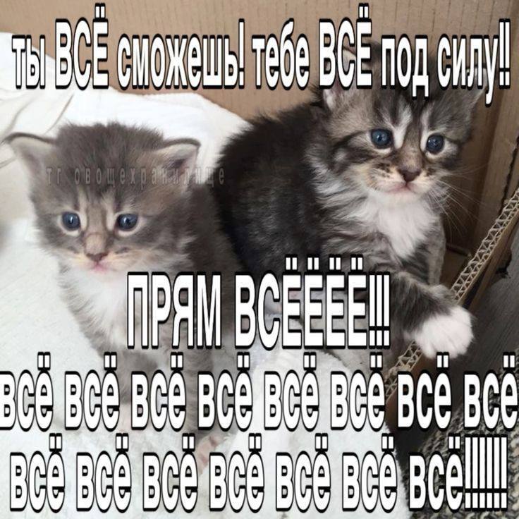 в ОЖ unite ВВЕДЕНА | Chis PAI BGEEEE! ig Boab я т. р Altai ge aes BG ВЕ ВОС