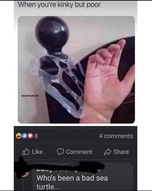 When you're kinky but poor у i 4 comments Like Comment Share Who's been а bad sea turtle...