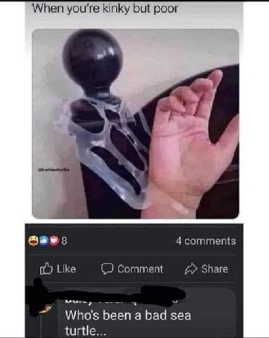 When you're kinky but poor у i 4 comments Like Comment Share Who's been а bad sea turtle...