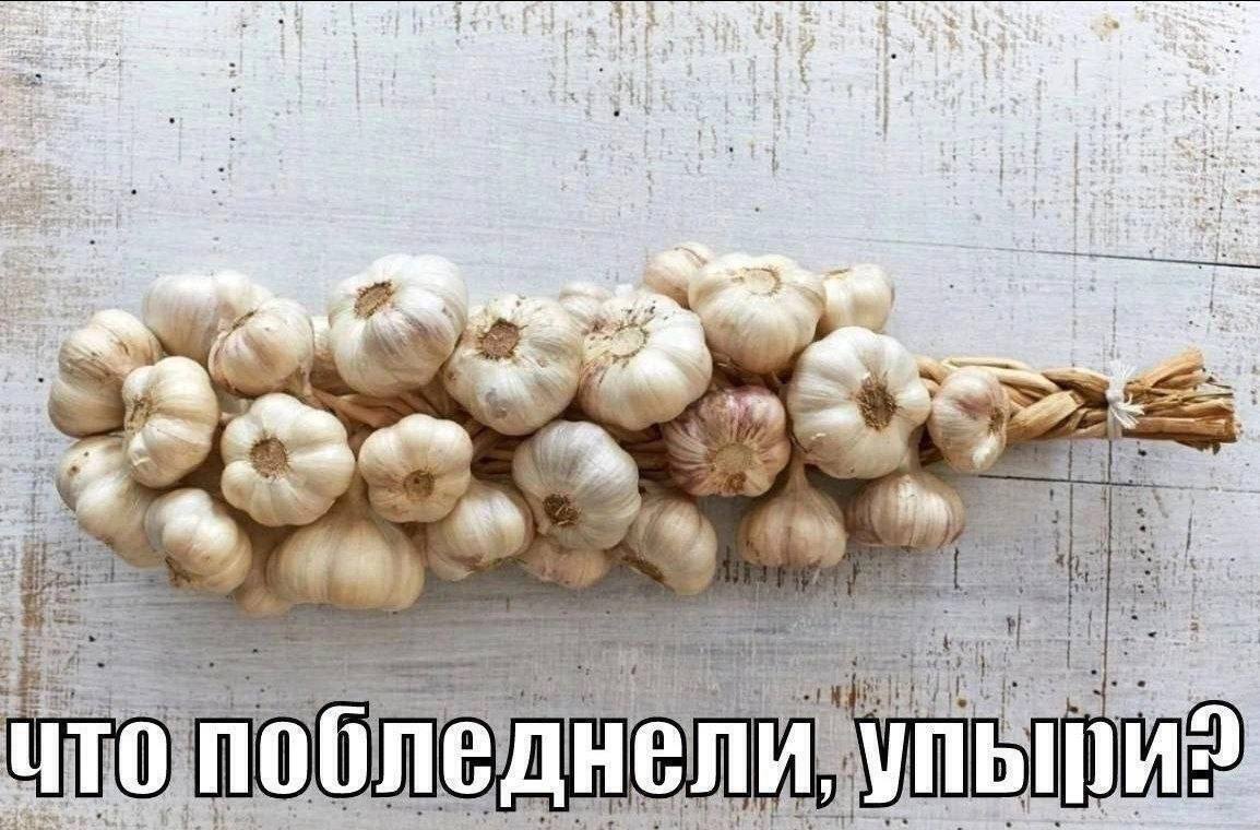 к я i с 1 я 1 3 at 3 9 4 2 Я at 7 a A, i 7 3 и: PES я я i |9