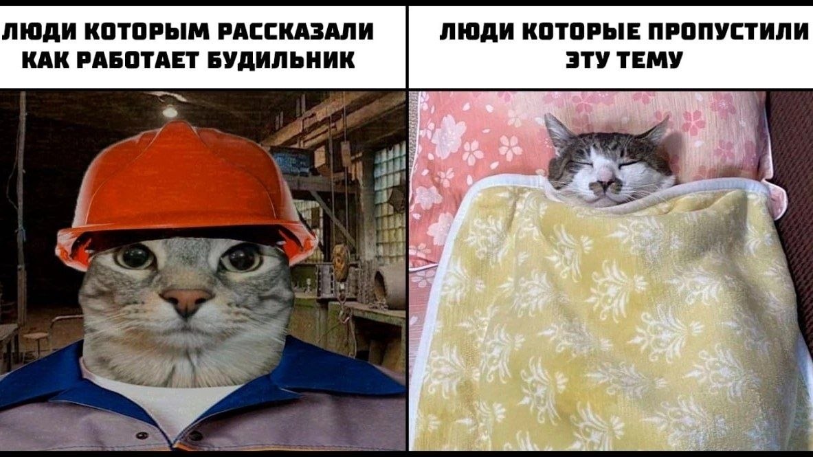 ЛЮДИ КОТОРЫМ РАССКАЗАЛИ ЛЮДИ КОТОРЫЕ ПРОПУСТИЛИ КАК РАБОТАЕТ БУДИЛЬНИК ЭТУ ТЕМУ и wit
