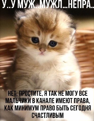 блесс ол оф ю