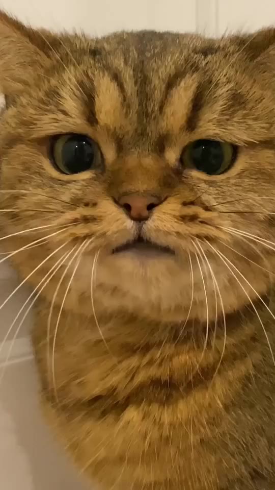 у