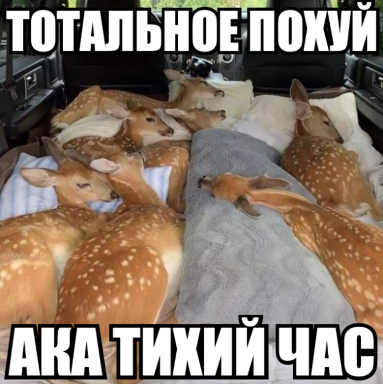 ТОТАЛЬНОЕПОХУЙ 9 a у АКА ТИХИЙ ЧАС.