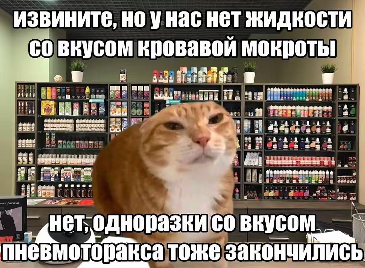 ИЗВИНИТЕ, НО HET жидкости вкусом кровавой мокроты WES ttt 2464 6488 a нет, одноразки тоже закончились